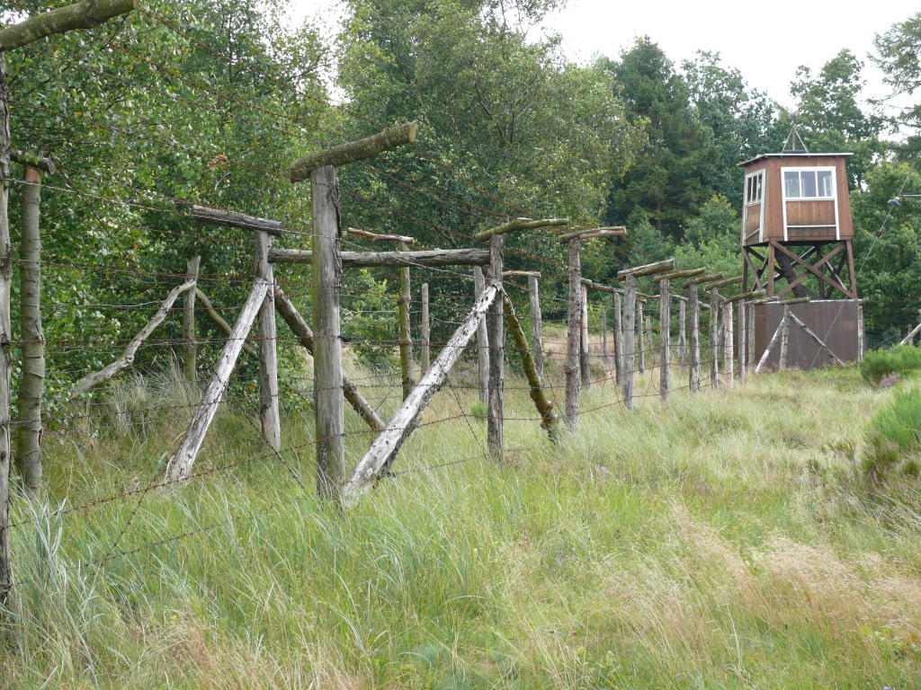 Løbegang til hunde