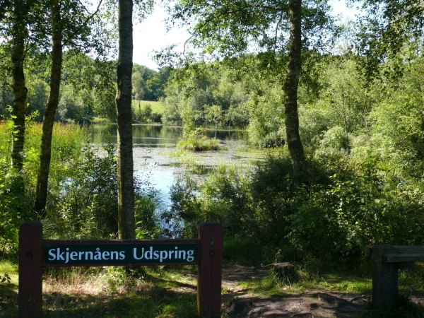 Skjern å