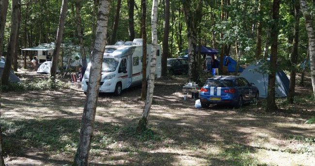 Camp hvor du kan